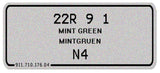 Mint Green T-Shirt, Color Code 22R